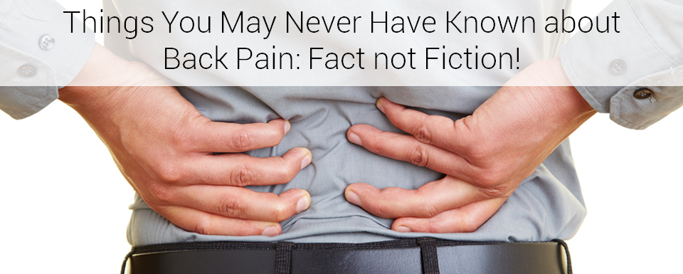 Things you May Never Have Known About Back Pain:  Fact not Fiction